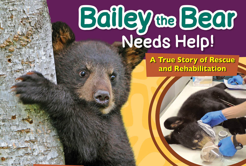 Bailey the Bear Needs Help! Book Tour