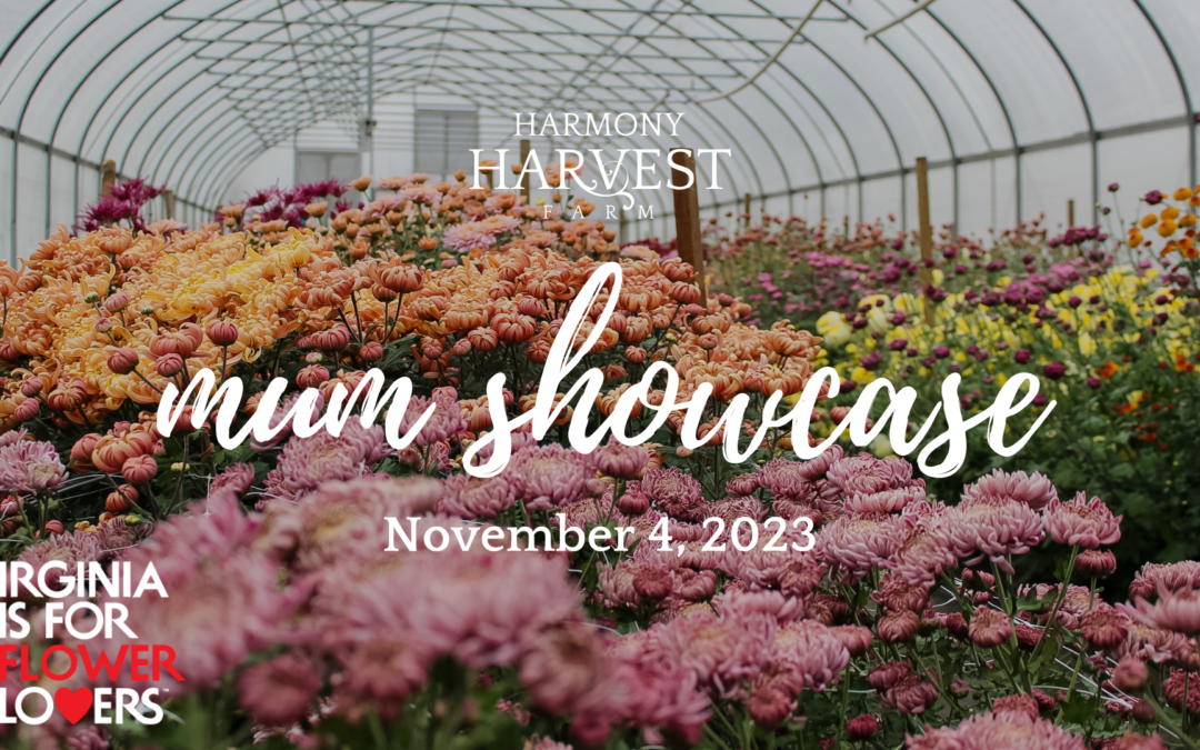 Harmony Harvest Farm: The Mum Showcase