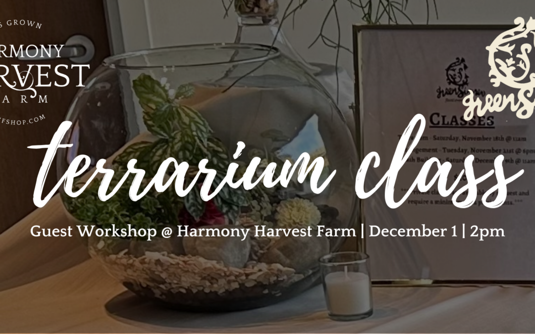 Harmony Harvest Farm: Terrarium Class